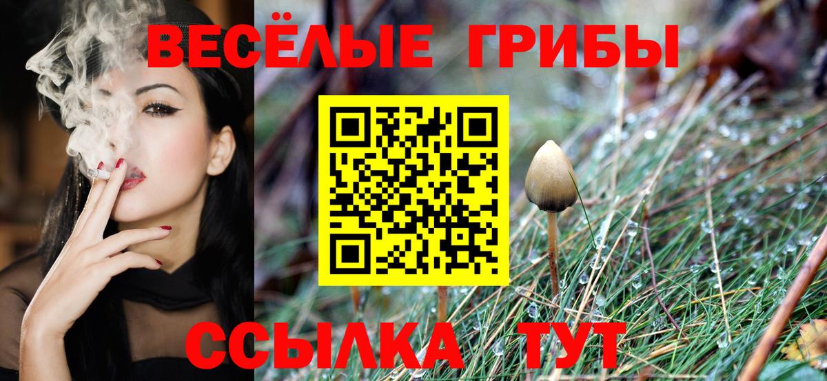 Галлюциногенные грибы прущие грибы Елец